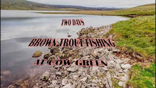 Wild brown trout fishing at Cow Green reservoir