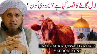 laal gaie ka qissa kiya hai || yahoodi kon hain || red heifer || mufti tariq masood