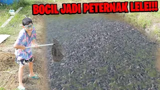 BOCIL JADI PETERNAK LELE SUPER KAYA!!!