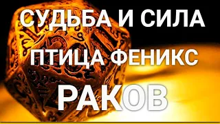 СУДЬБА и СИЛА РАКОВ. ПТИЦА ФЕНИКС. ГЛУБОКИЙ АНАЛИЗ ЛИЧНОСТИ.