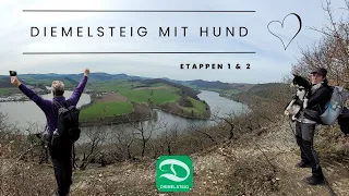 Diemelsteig Teil 1 - Wandern mit Hund und Zelt