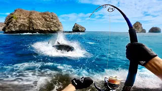 Strongest Fish to Catch from the Rocks