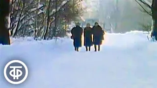 Зимний парк. Видеозарисовка (1989)