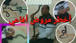 أخطر صياد أفاعي في المغرب يلعب مع الأفاعي و يطعمها. حير قناة ناسيونال جيوغرافيك