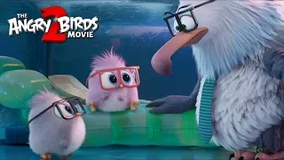 THE ANGRY BIRDS MOVIE 2 - Take Your Hatchlings to Work Day with Eugenio Derbez