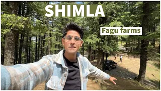 Shimla kufri Fagu farms | Perfect Day out ho jaaega garmiyon ki holidays ke liye ❣️⛰️