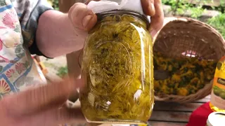 Dandelion Flower Herbal Preparations