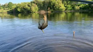 Когда ловля на поплавок лучше любых других!