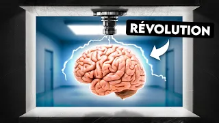 La révolution française pour notre cerveau dévoilée