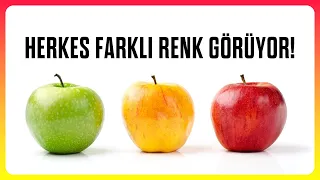 Renkleri Aynı Şekilde mi Görüyoruz? | Zihnimizin Hapishaneleri: Kualia