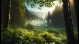 Dreamy Woods | piano ambience to calm your mind and improve productivity