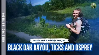 LaSalle Fish & Wildlife Area, IN - Black Oak Bayou, Ticks and Osprey (Hike 360° VR Video)