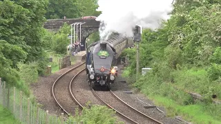 Railway CHAOS after flooding but SIR NIGEL GRESLEY 60007 Absolutely Superb, 'The Fellsman' 23 05 24