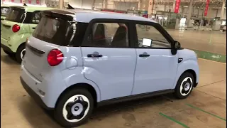 New Energy Vehicle with 5 doors 4 seats.