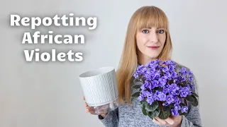 How To Repot African Violets & Fix Long Necks