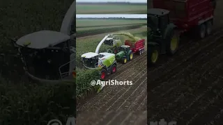 Big Silage Chopping #shorts