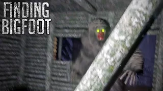 Finding Bigfoot - Co-op 3 - Tracking Bigfoot