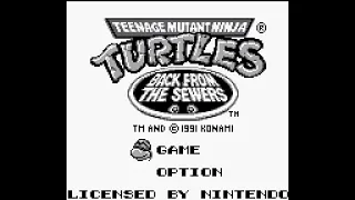 Game Boy Longplay [020] Teenage Mutant Ninja Turtles II: Back from the Sewers (US)