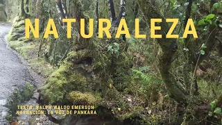 NATURALEZA