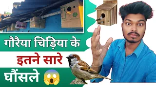 Gouraiya Chidiya Ke liye Lagaye Breeding Box | गौरैया चिड़िया का घर  | #sparrow