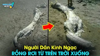 ✈️ 5 Sự Kiện Thần Bí Chấn Động Được Giấu Kín Ở Trung Quốc Mà Có Thể Bạn Chưa Biết  | Khám Phá Đó Đây