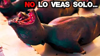 No Todos Tienen Valor Para Ver Estos Videos videos de TERROR REAL para NO Dormir