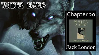 White Fang - Ch 20 |🎧 Audiobook with Scrolling Text 📖| Ion VideoBook