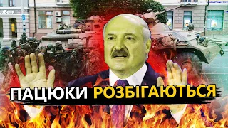 "ВАГНЕР" знову рушить на МОСКВУ!? / Що змусило ТЕРМІНОВО покидати Білорусь?