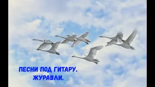 Песни под гитару. Журавли.