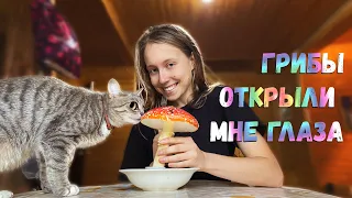 ОЙ ШО ТВОРИЛОСЬ. ПАНТЕРНЫЙ МУХОМОР привел меня в глубокую деревню шаманить