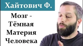 Хайтович Ф. Что мы не знаем о мозге? Похоже всё!