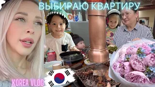 Влог из Кореи/Korea vlog