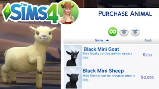 How To Get Goats & Sheep (Horse Ranch Guide, Buy Mini Goats & Sheep) - The Sims 4