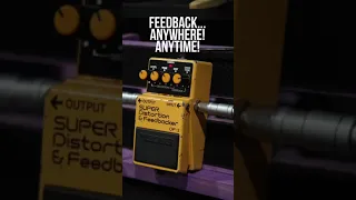 BOSS DF-2 Feedback #shorts #guitar #distortion  #analog