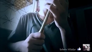 Fullmetal Alchemist | Brothers | Tin Whistle (Cover)