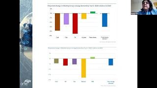 EMEA COVID19 Webinar 02: The collapse of the oil market amidst COVID-19 health crisis