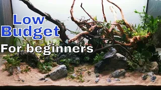 Low tech planted aquarium time lapse (No co2 aquarium setup! Can we make aquascaping without co2?)