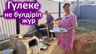 Тез көріңіз шарбақта не болып жатыр