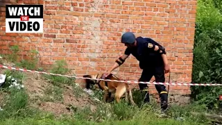 Ukrainian forces use bomb-sniffing dog to clear former Russian base