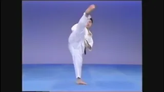 Kyokushin 101: Mawashi Geri