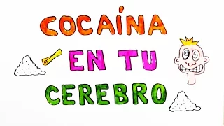 ¡Cocaína y tu Cerebro!