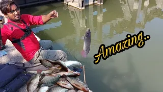 amazing.. patan and tilapia fish catching