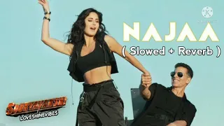 Najaa ( Slowed + Reverb ) Pav Dharia & Nikhita | LoveShineVibes