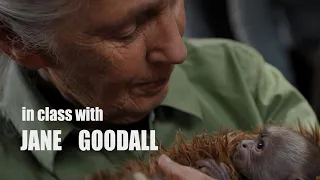 In Class with Jane Goodall