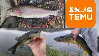 Temu Fishing Challenge!   (Multi-Species *** Big Fish)