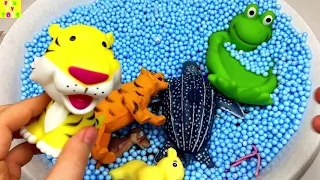 Learn Colors with Wild Zoo Animals Farm Surprise Toy for Kid Child with Foam Beads