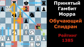 Гамбит Морра Принятый Сицилианская Защита Наказание соперника за ошибки в дебюте Обучающий Спидран