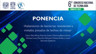 Aislamiento de bacterias resistentes a metales pesados de lechos de minas