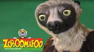 Zoboomafoo 218 - Buddies (Full Episode)
