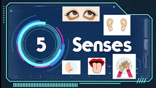 Five Senses- Sight, Hearing, Smell, Taste, and Touch